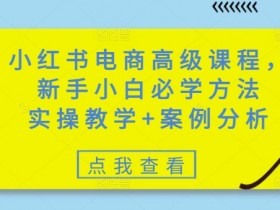 小红书电商高级课程,新手小白必学方法,实操教学+案例分析