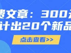 付费文章:300元设计出20个新品