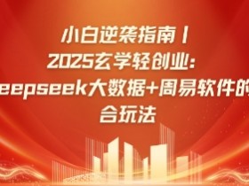 小白逆袭指南,2025玄学轻创业:Deepseek大数据+周易算法的融合玩法