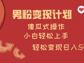 男粉变现计划,傻瓜式操作,小白轻松日入多张【揭秘】