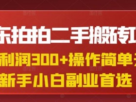 京东拍拍二手搬砖项目,一单纯利润3张,操作简单,小白兼职副业首选