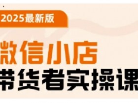 2025最新版微信小店带货者实操课,基础操作到高级运营技巧,快速上手
