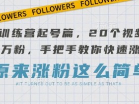 AI训练营起号篇,20个视频搞定万粉,手把手教你快速涨粉