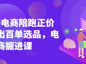 小红书电商陪跑正价课,小红书官方认证电商讲师教学,日出百单选品,电商掘进课