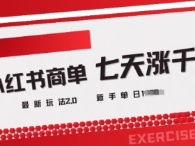 小红书商单2.0最新玩法,3天涨千粉单日变现多张