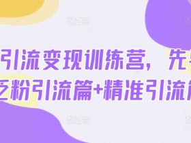 热点引流变现训练营,先导篇+泛粉引流篇+精准引流篇