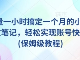 AI+批量一小时搞定一个月的小红书爆款图文笔记,轻松实现账号快速涨粉(保姆级教程)