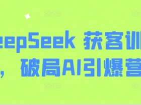 DeepSeek 获客训练营,破局AI引爆营销
