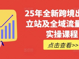 25年全新跨境出海独立站及全域流量营销实操课程,跨境电商独立站TIKTOK全域营销普货特货玩法大全