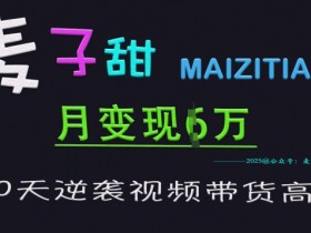 麦子甜30天逆袭视频带货高手,单月变现6W加特训营