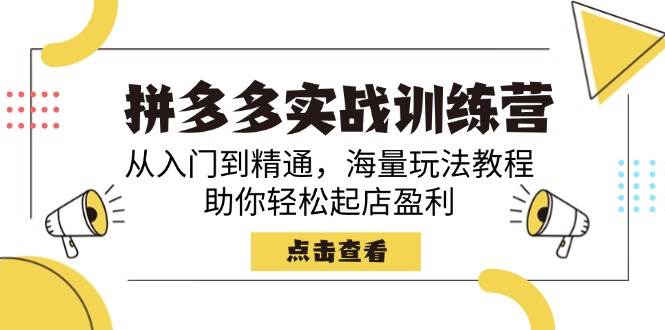 图片[1]-拼多多实战训练营，从入门到精通，海量玩法教程，助你轻松起店盈利