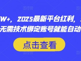 月入过W+,2025最新平台红利,无需本金、无需技术绑定账号就能自动收米