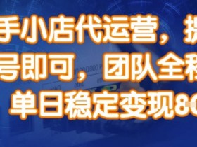 快手小店代运营,提供账号即可,团队全程操盘,单日稳定变现8张【揭秘】