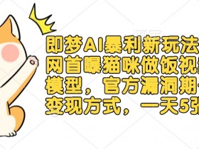 即梦AI暴利新玩法:全网首曝猫咪做饭视频躺Z模型,官方漏洞期+多种变现方式,一天5张