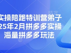 拼多多实操陪跑特训营弟子班,2025年2月拼多多实操课程,海量拼多多玩法