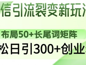 微信引流裂变新玩法:布局50+长尾词矩阵,轻松日引300+创业粉