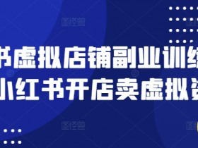 小红书虚拟店铺副业训练营1.0,小红书开店卖虚拟资料