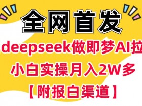 用deepseek做即梦Ai拉新 小白实操月入过W+【附报白渠道】
