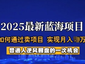 2025蓝海项目,普通人如何通过卖项目,实现月入过W,全过程【揭秘】