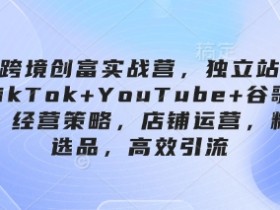 跨境创富实战营,独立站+TikTok+YouTube+谷歌广告,经营策略,店铺运营,精准选品,高效引流