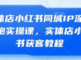 实体店小红书同城IP深度陪跑实操课,实体店小红书获客教程