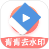青青去水印v1.1多平台批量解析,图集视频混合解析