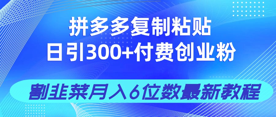 (14232期)拼多多复制粘贴日引300+付费创业粉,割韭菜月入6位数最新教程!