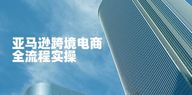 (14252期)亚马逊平台跨境电子商务全过程实际操作,教大家从零开始,把握店铺管理与广告方法