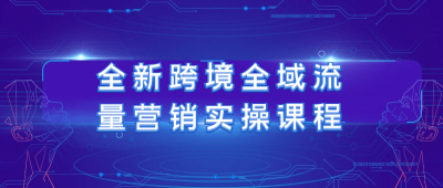 新媒体运营全新跨境全域流量营销实操课程