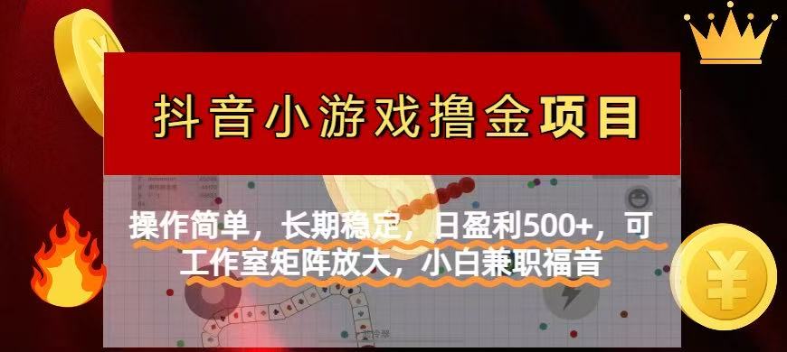 (14290期)【抖音小游戏外国投资者计划项目】使用方便,持续稳定,日赢利500 ,可工作中…
