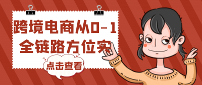 新媒体运营跨境电商从0-1全链路方位实操