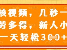 最新审核视频，几秒一单，多劳多得，新人小白一天轻松3张【揭秘】