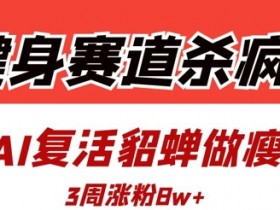 健身赛道杀疯了?我用AI复活貂蝉做瘦身操,3周涨粉8W