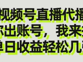 视频号直播代播,你出账号我来播,单日收益轻松几张【揭秘】