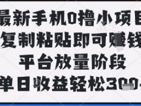 最新手机0撸小项目,复制粘贴即可挣钱,平台放量阶段,单日收益轻松3张+【揭秘】