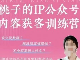 桃子IP公众号内容获客训练营(第3期),一门让你公众号从0到商业闭环的课程