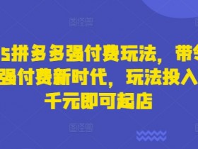 2025拼多多强付费玩法,带领全网走强付费新时代,玩法投入不超千元即可起店