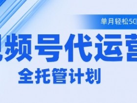 视频号代运营2.0,全程托管招募,单月轻松变现5k【揭秘】