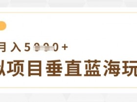 虚拟项目垂直玩法,实现单店月入5k+