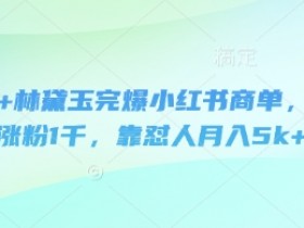 即梦+林黛玉完爆小红书商单,3天涨粉1千,靠怼人月入5k+