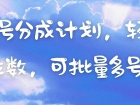 视频号分成计划,轻松日入三位数,可批量多号操作