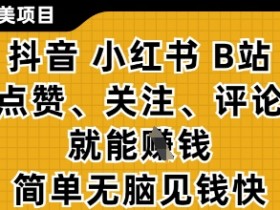 小而美的项目,抖音小红书B站视频点赞、关注、评论就能挣钱,简单无脑立见收益,妥妥的零撸项目【揭秘】