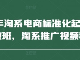2025年淘系电商标准化起店流程私教班,淘系推广视频教程