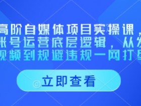 AI高阶自媒体项目实操课,讲透账号运营底层逻辑,从发布视频到规避违规一网打尽