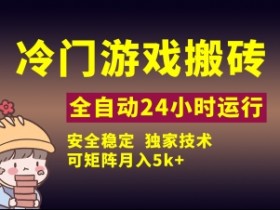 冷门游戏全自动搬砖,独家技术,稳定无风险,可矩阵月入5k,小白可做【揭秘】