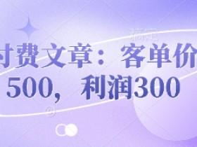 付费文章:客单价500,利润300