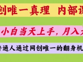 网创唯一真理,内部课程,新手小白当天上手,月入5位数,普通人通过网创唯一的机会【揭秘】