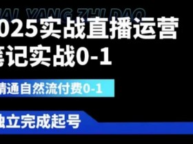 2025实战直播运营0-1，精通自然流付费0-1，可独立完成起号