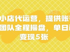 快手小店代运营,提供账号即可,团队全程操盘,单日稳定变现5张【揭秘】