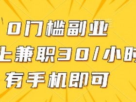 0门槛副业,线上兼职30一小时,有一部手机即可操作【揭秘】